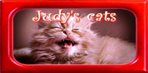  http://judy-cats.blogspot.hu/ 